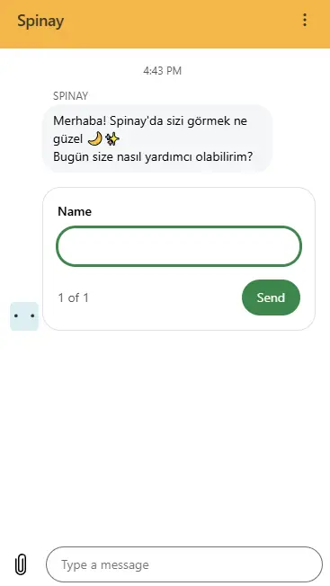 Spinay Casino Desteği ile İletişime Geçme